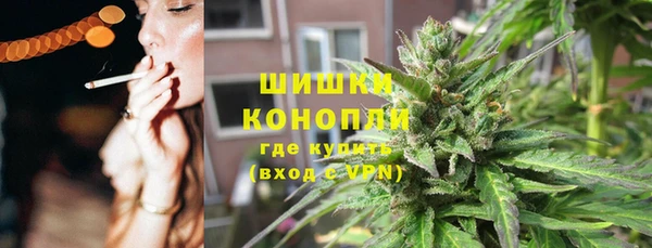 винт Бородино