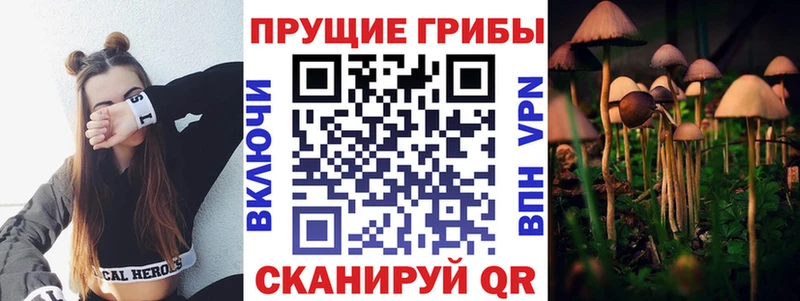 магазин продажи   Тихорецк  Галлюциногенные грибы мицелий 